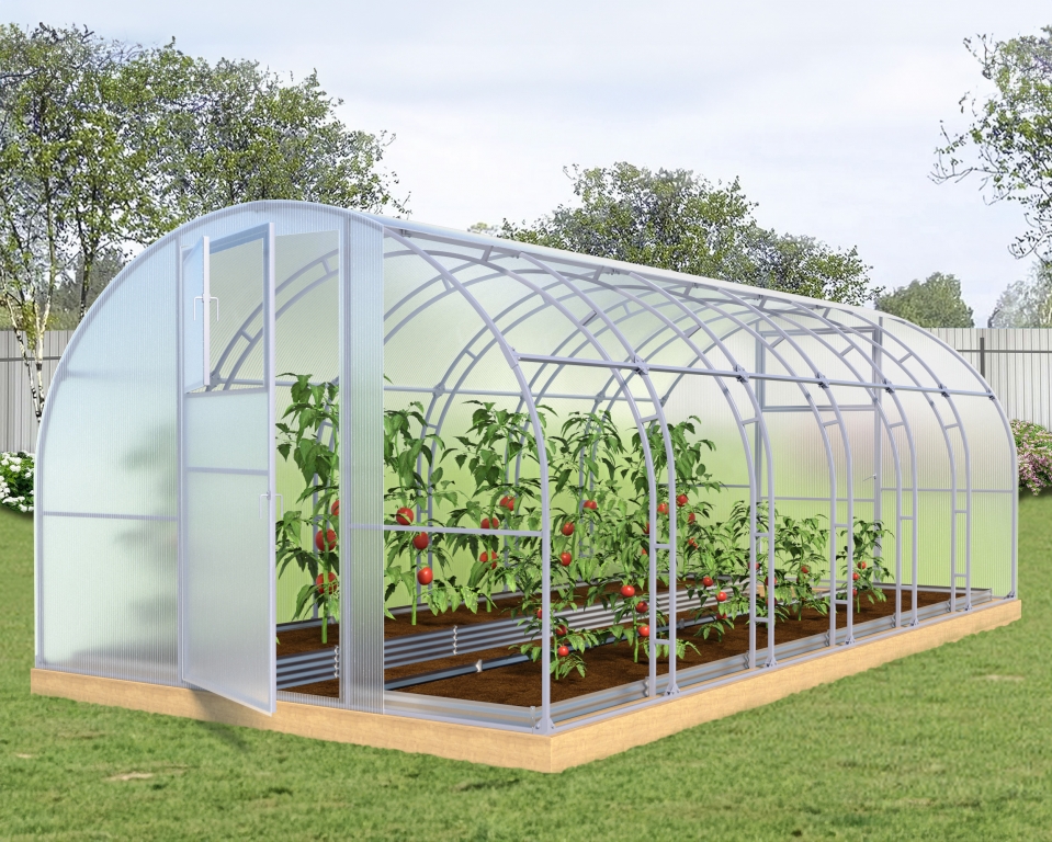 Теплица Арочная 20х20+20х20 - ширина 3 м в Москве